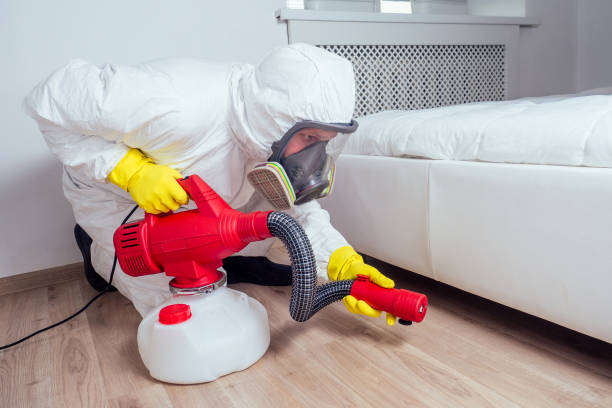 Best Rat Extermination Near Me  in Franklin Center, NJ
