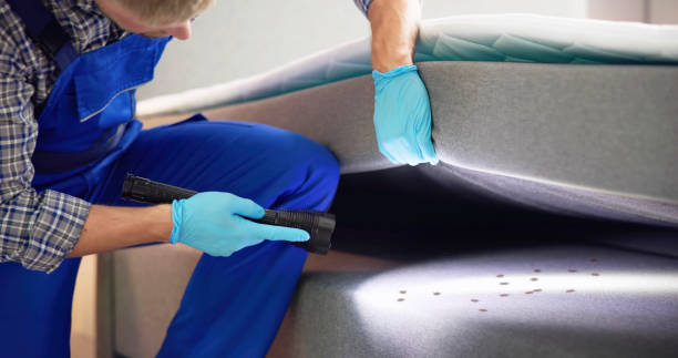 Best Pest Control Treatment  in Franklin Center, NJ