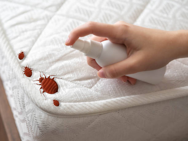 Best Affordable Pest Control Services  in Franklin Center, NJ