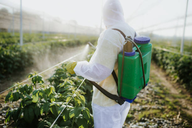 Best Ant Control Services  in Franklin Center, NJ